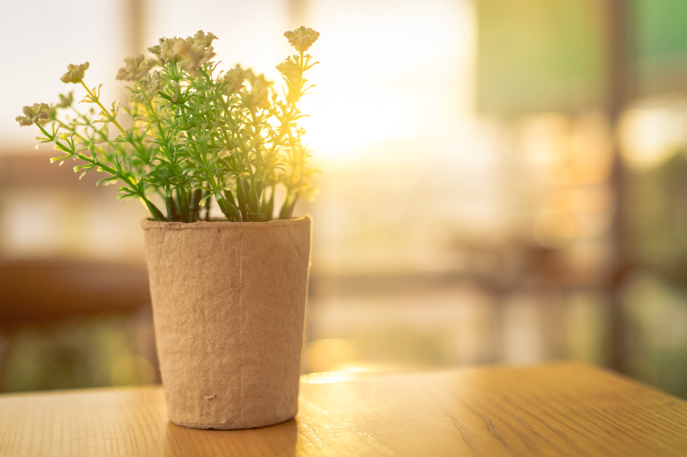Fake White Flowers with Green Leaves in Recycled Paper Pot